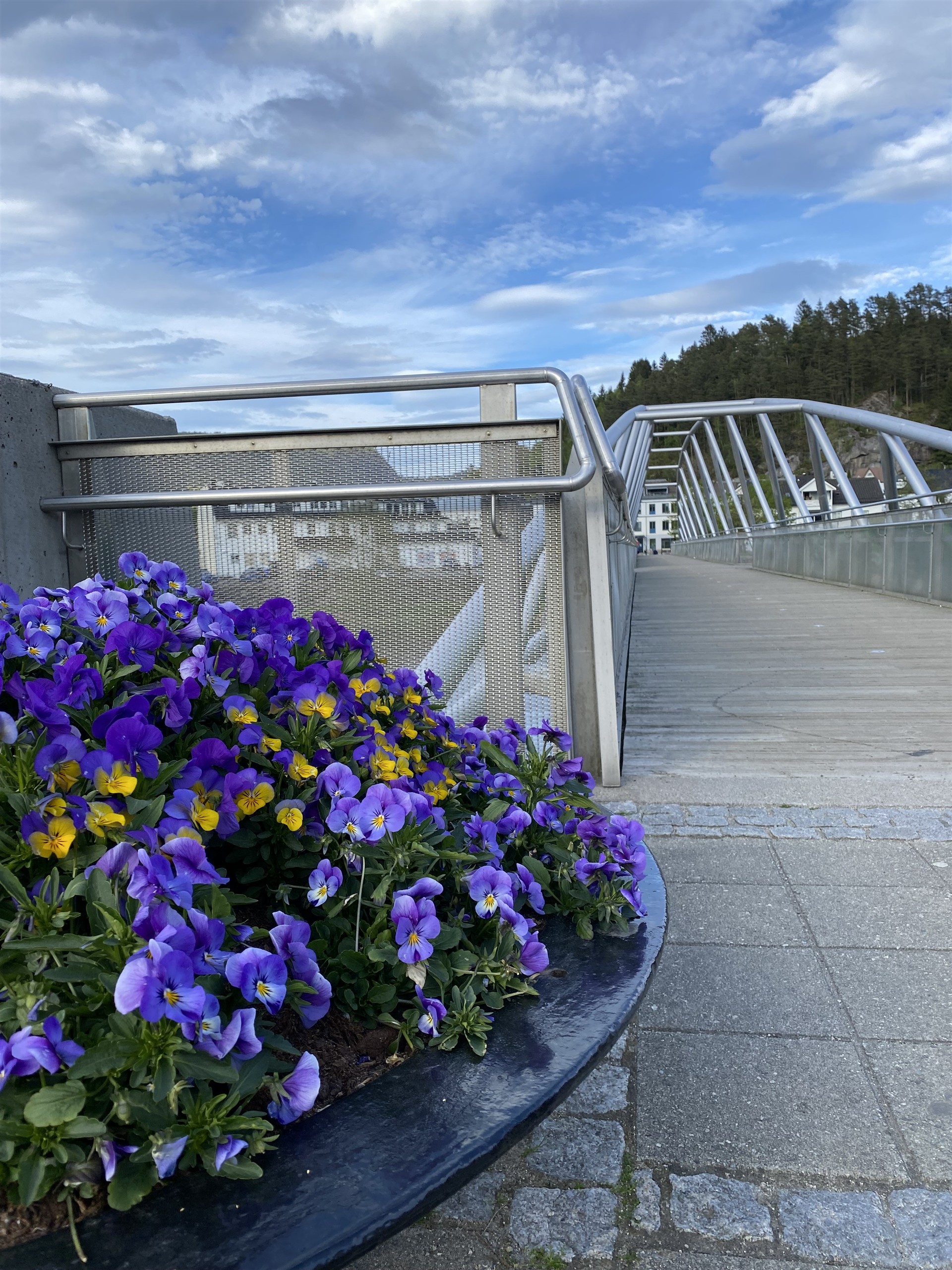 Blomster ved Nesbrua